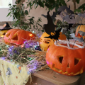 Happy Halloween у ВТФК! Happy Halloween у ВТФК!