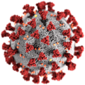 Про дотримання обмежень задля запобігання поширенню ГРВІ COVID - 19, спричиненої коронавірусом SARS- COV -2
